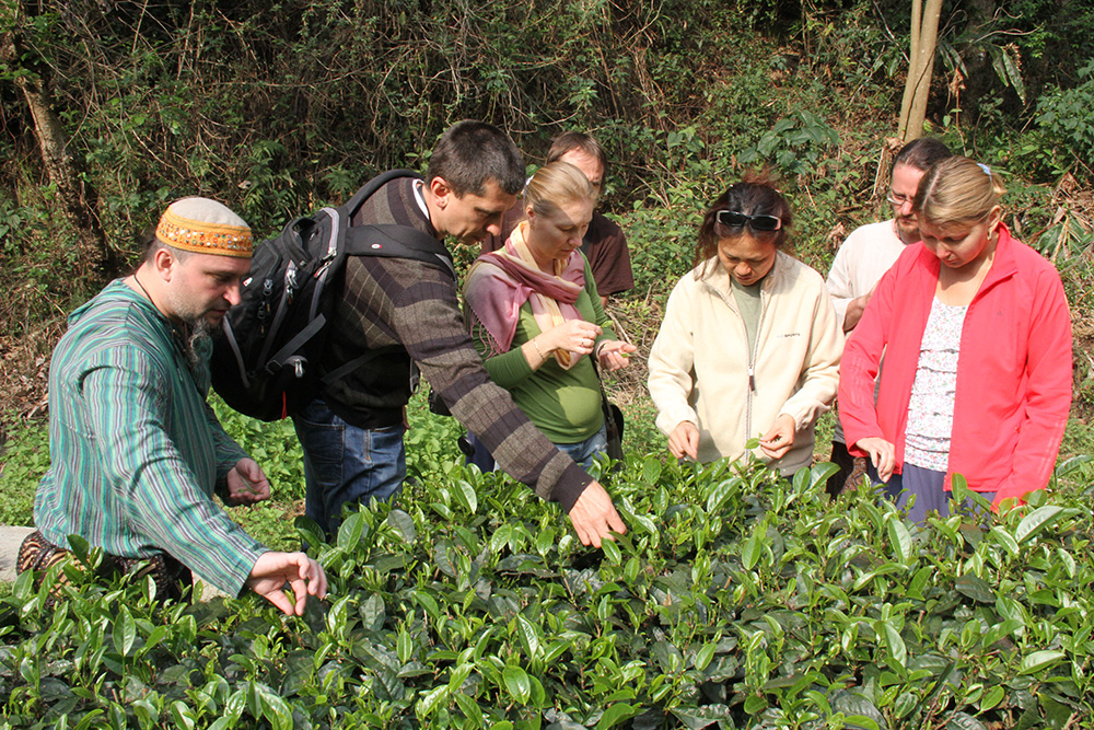 考察组成员在滇红集团茶科院推广示范茶园参观